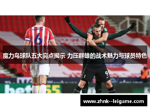 魔力鸟球队五大亮点揭示 力压群雄的战术魅力与球员特色
