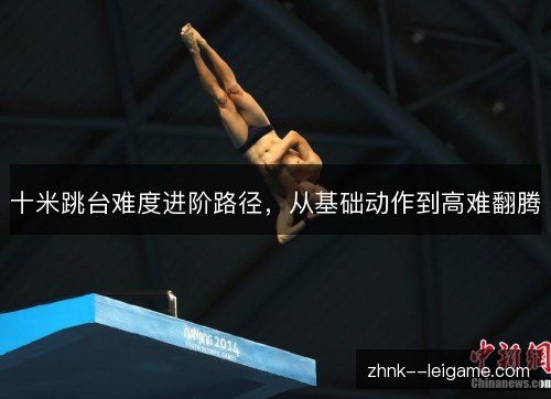十米跳台难度进阶路径，从基础动作到高难翻腾